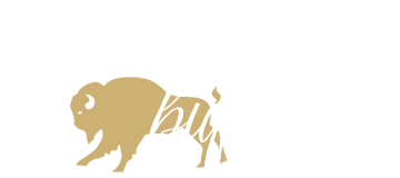 Hug A Buffalo